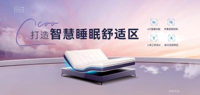 美亚实业历程-2004 深圳美亚实业收购MPE BEDDING 品牌商标全球使用权
2007【图10】