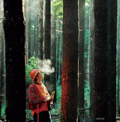 敏华控股文化-企业的愿景
成为世界一流的，受人尊敬的家居企业。
敏华，立足于中国家居行业2【图2】