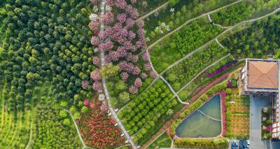 晚安家居文化-晚安文化园

园区总览
晚安家居文化园，总体面积200亩，是集工业旅游、科【图1】