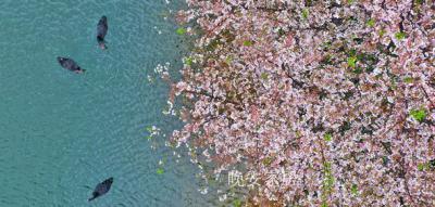 晚安家居文化-晚安文化园

园区总览
晚安家居文化园，总体面积200亩，是集工业旅游、科【图2】