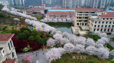 晚安家居文化-晚安文化园

园区总览
晚安家居文化园，总体面积200亩，是集工业旅游、科【图3】