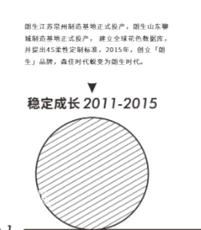 朗生整装历程-朗生整装，历经四个关键发展阶段。
并在企业定位和企业发展两个维度持续进化。
【图2】