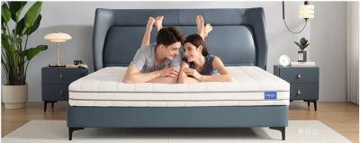 梦百合文化-MLILY梦百合家居的企业文化
Brand Culture

使命

【图1】