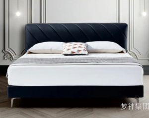 梦神集团客卧家具《MSP2595初见》