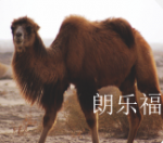 朗乐福日志-考究原料，是成就奢侈品的重要因素

1、德国Ti+钛合金【图3】