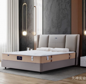 美神实业客卧家具产品《美神天然棕床垫》议价