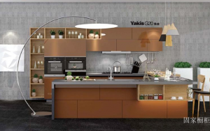 固家橱柜厨卫家具产品《雅金橱柜》议价