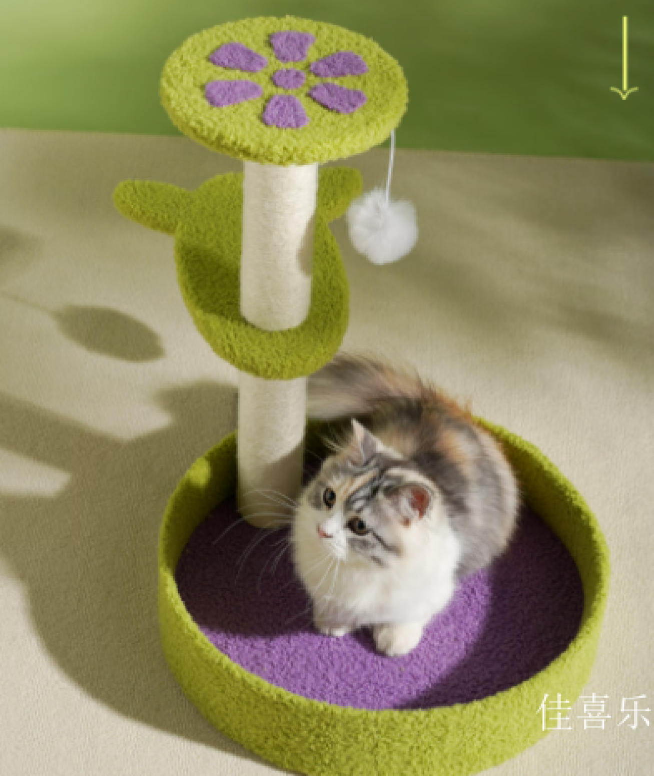 佳喜乐宠物家具产品《多层跳台花瓣猫爬架》【图0】
