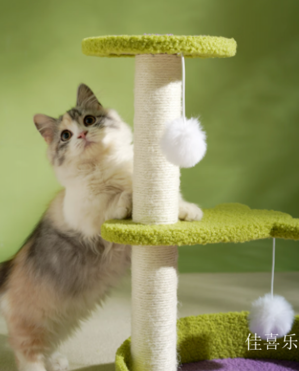 佳喜乐宠物家具产品《多层跳台花瓣猫爬架》【图1】