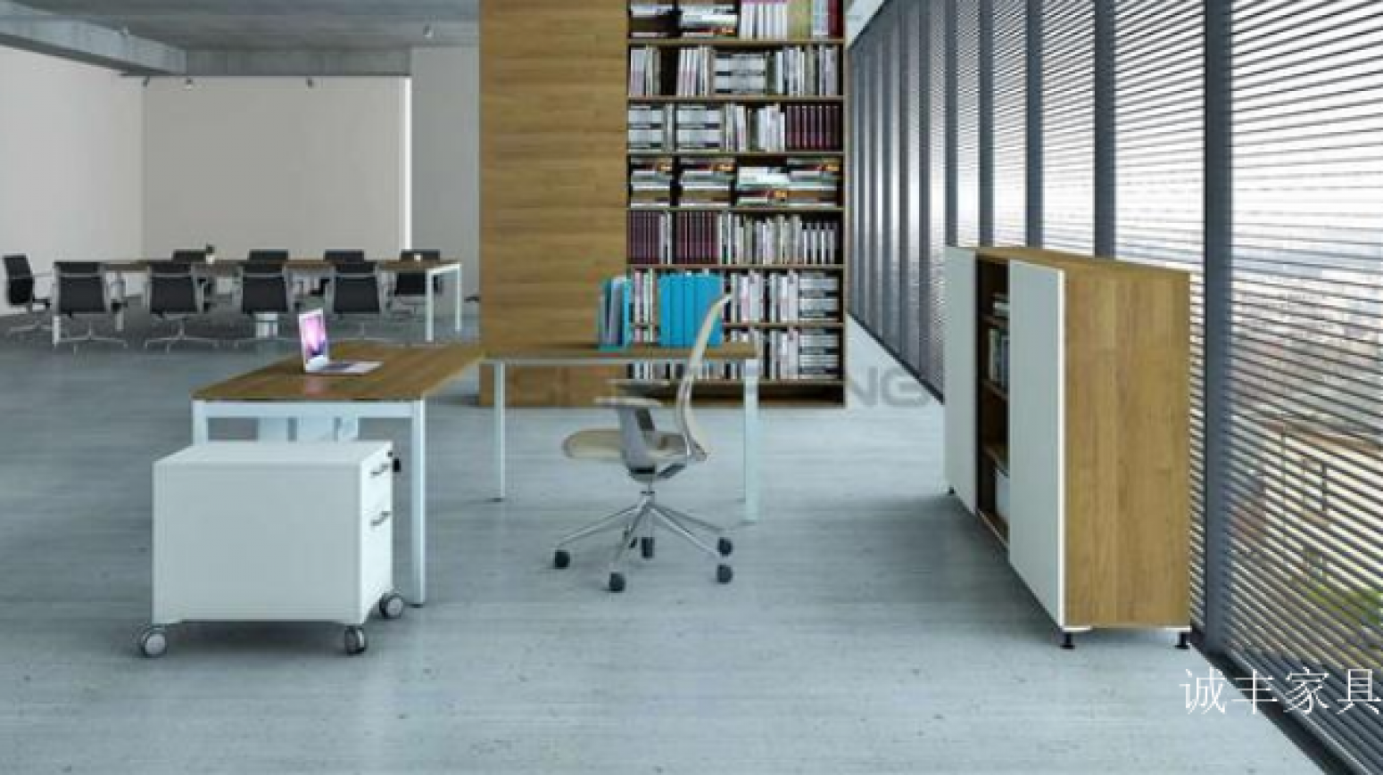 诚丰家具办公家具产品《经济实用时尚办公桌》【图2】