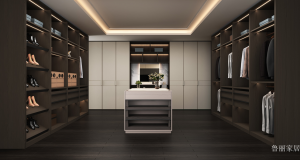 鲁丽家居客卧家具产品《尊享对称豪华衣帽间》议价